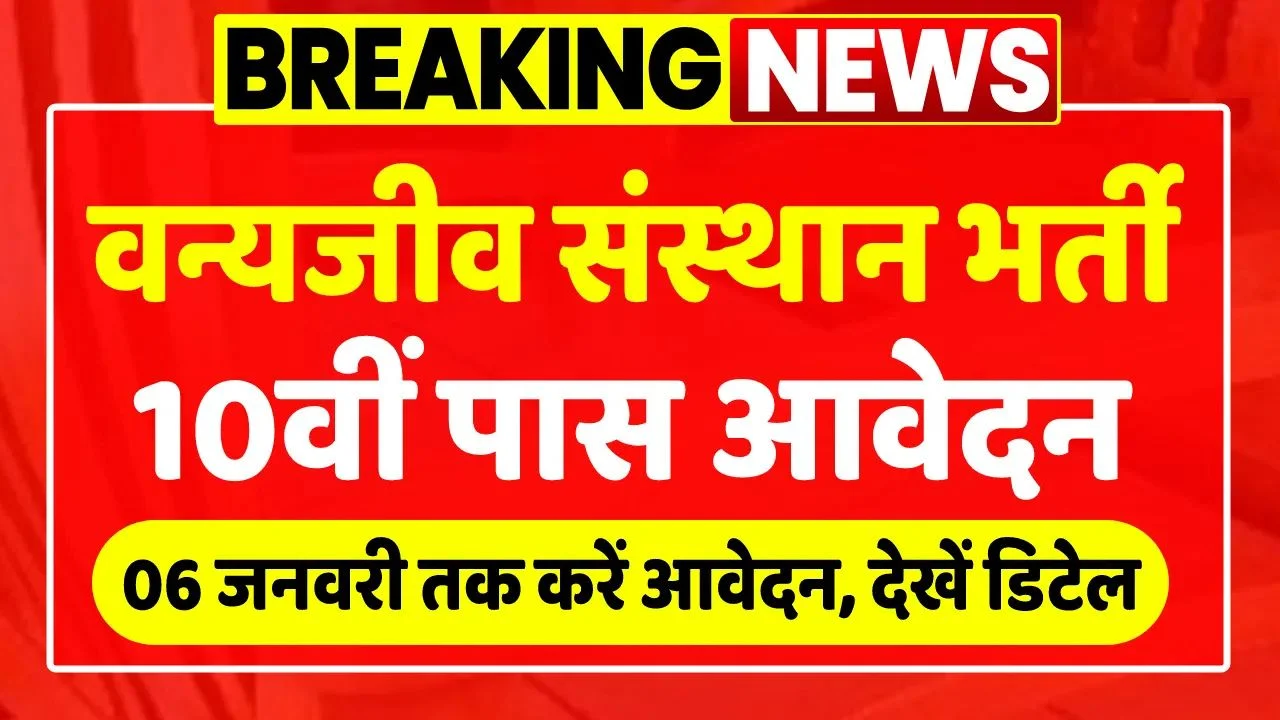 Wildlife India Naukri 2024