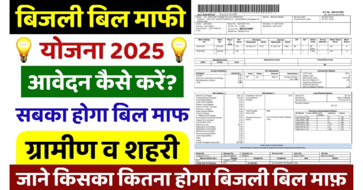 Bijli