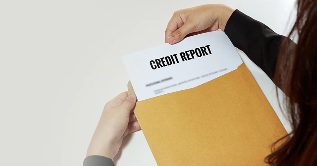 Business Credit Report India 2026